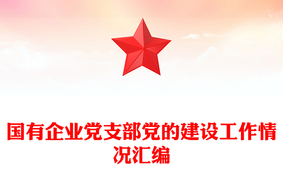 国有企业党支部党的建设工作情况汇编