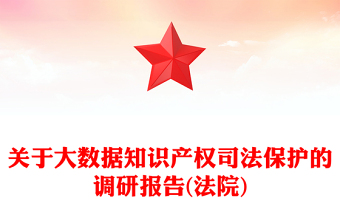关于大数据知识产权司法保护的调研报告(法院)