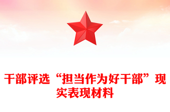 干部评选“担当作为好干部”现实表现材料