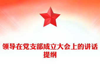 领导在党支部成立大会上的讲话提纲