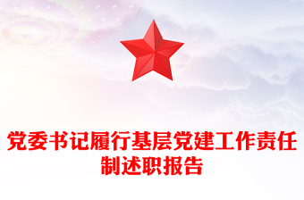 履行基层党建工作责任述职报告