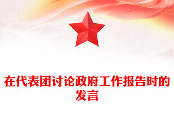 在代表团讨论政府工作报告时的发言