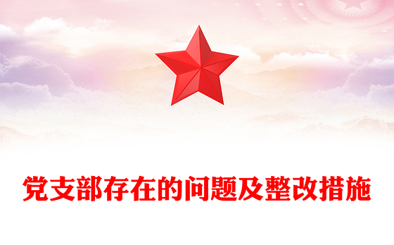 党支部存在的问题及整改措施
