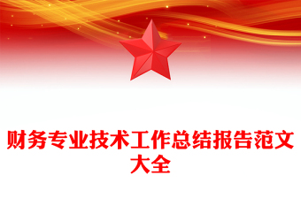 财务专业技术工作总结报告范文大全