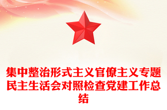 集中整治形式主义官僚主义专题民主生活会对照检查党建工作总结