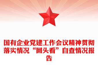 国有企业党建工作会议精神贯彻落实情况“回头看”自查情况报告