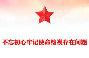 不忘初心牢记使命检视存在问题