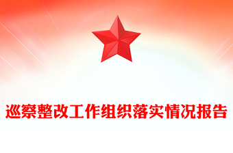 巡察整改工作组织落实情况报告