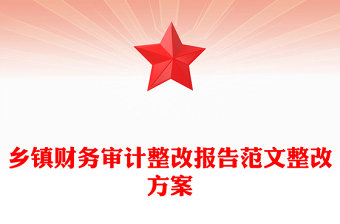 乡镇财务审计整改报告范文整改方案
