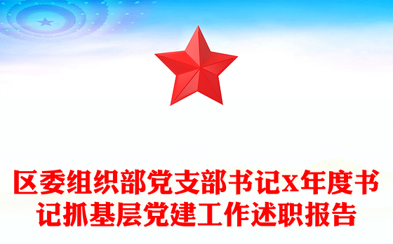 2023纪检支部书记年度述职报告