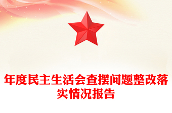 年度民主生活会查摆问题整改落实情况报告