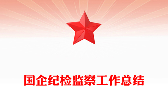 国企纪检监察工作总结