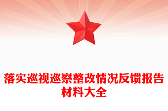 落实巡视巡察整改情况反馈报告材料大全