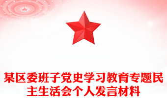 某区委班子党史学习教育专题民主生活会个人发言材料