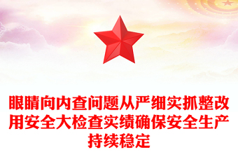 眼睛向内查问题从严细实抓整改用安全大检查实绩确保安全生产持续稳定