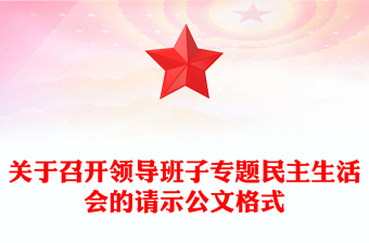 关于召开领导班子专题民主生活会的请示公文格式