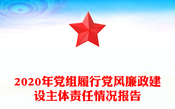 2020年党组履行党风廉政建设主体责任情况报告