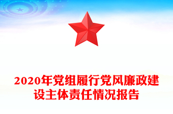 2020年党组履行党风廉政建设主体责任情况报告