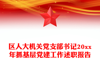 区人大机关党支部书记20xx年抓基层党建工作述职报告