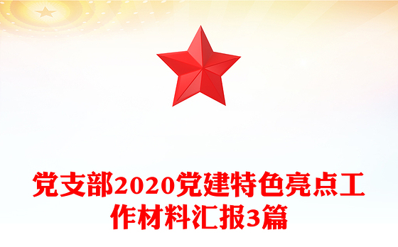 党支部2020党建特色亮点工作材料汇报3篇