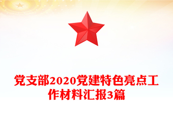 党支部2020党建特色亮点工作材料汇报3篇