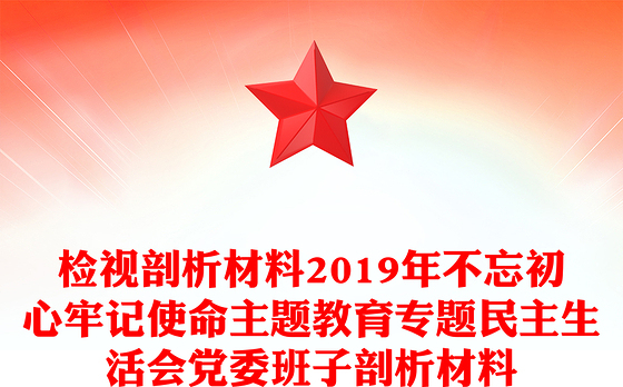 检视剖析材料2019年不忘初心牢记使命主题教育专题民主生活会党委班子剖析材料