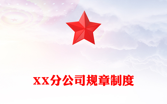 XX分公司规章制度