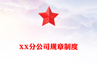 XX分公司规章制度