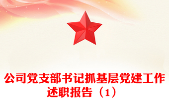 公司党支部书记抓基层党建工作述职报告（1）