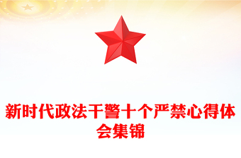 新时代政法干警十个严禁心得体会集锦