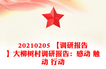 20210205 【调研报告】大柳树村调研报告：感动 触动 行动