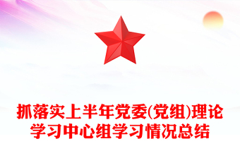 抓落实上半年党委(党组)理论学习中心组学习情况总结