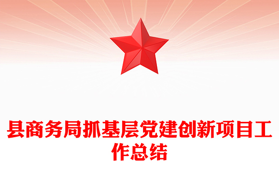县商务局抓基层党建创新项目工作总结