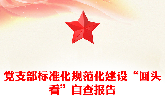 党支部标准化规范化建设“回头看”自查报告