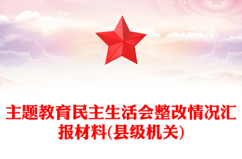 主题教育民主生活会整改情况汇报材料(县级机关)