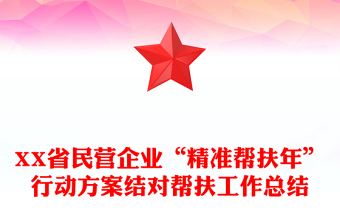XX省民营企业“精准帮扶年”行动方案结对帮扶工作总结