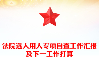 法院选人用人专项自查工作汇报及下一工作打算