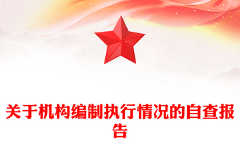 关于机构编制执行情况的自查报告