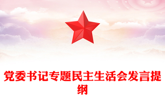 党委书记专题民主生活会发言提纲