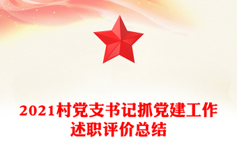 2021村党支书记抓党建工作述职评价总结