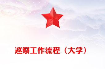 巡察工作流程（大学）