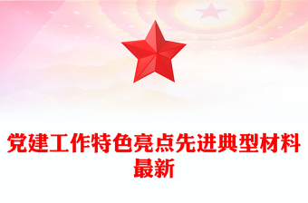 党建工作特色亮点先进典型材料最新