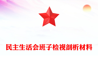 民主生活会班子检视剖析材料