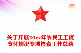 关于开展20xx年农民工工资支付情况专项检查工作总结