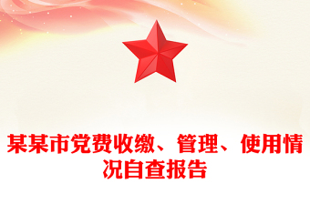 某某市党费收缴、管理、使用情况自查报告