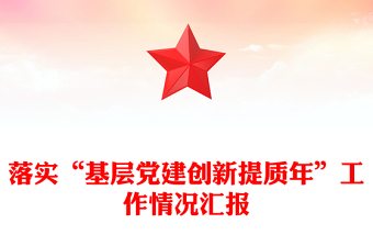 落实“基层党建创新提质年”工作情况汇报