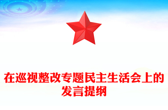在巡视整改专题民主生活会上的发言提纲