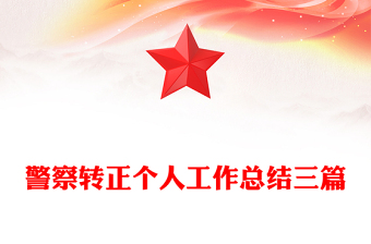 警察转正个人工作总结三篇