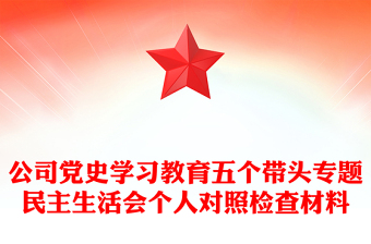 公司党史学习教育五个带头专题民主生活会个人对照检查材料