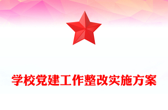 学校党建工作整改实施方案